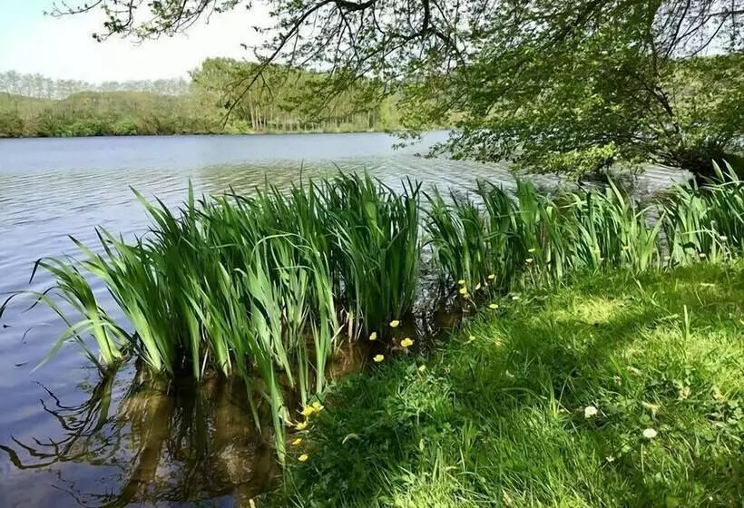 ホテル Camping Les Berges De La Dordogne