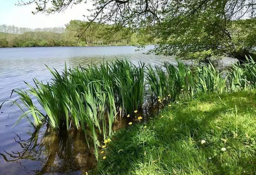 ホテル Camping Les Berges De La Dordogne