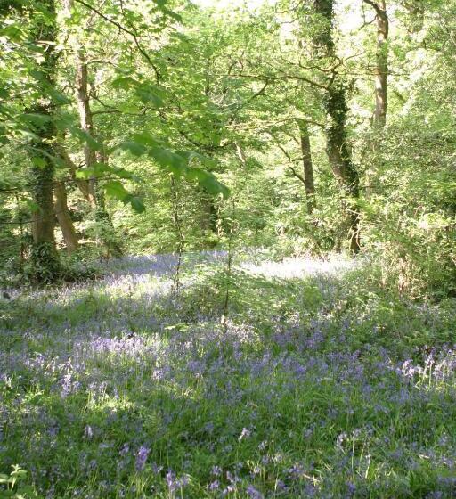 Swansea Valley Holiday Cottages