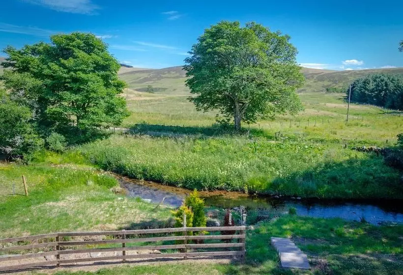 Castleview   Newton Steading