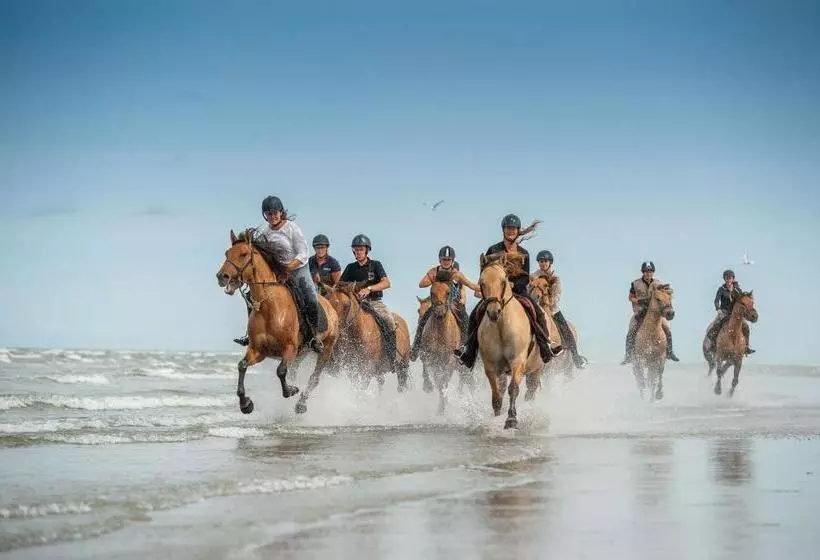 ペンション Les Fines Bulles & Spa