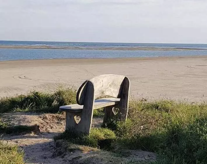 Snowdonia Slate Mountain Cottage Near Zip World