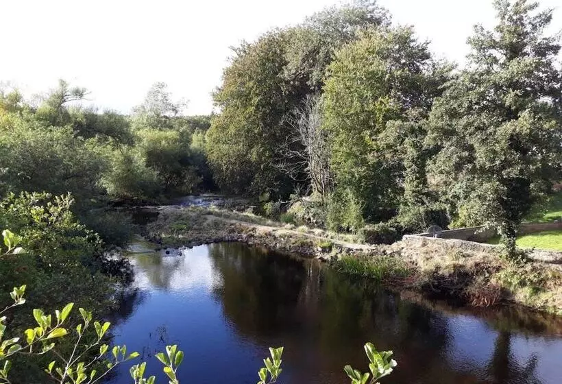 The Angus Suite @ Utopia