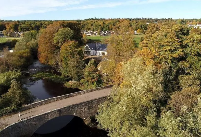 The Angus Suite @ Utopia