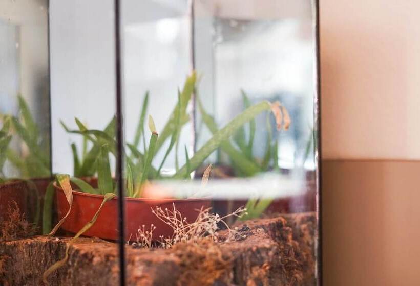 The Atrium Haven Winter Park Cabin Hot Tub