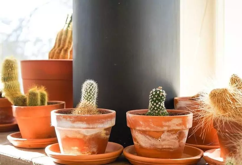 The Atrium Haven Winter Park Cabin Hot Tub