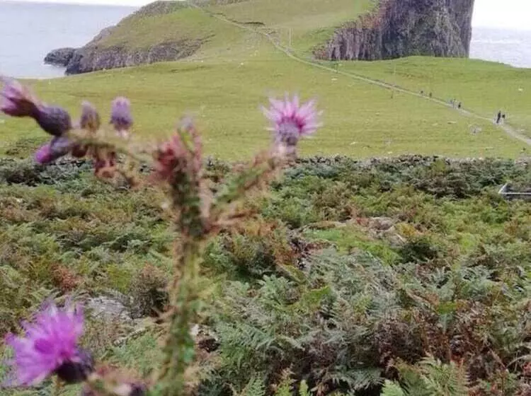 Immaculate 2 Bed House In Colbost