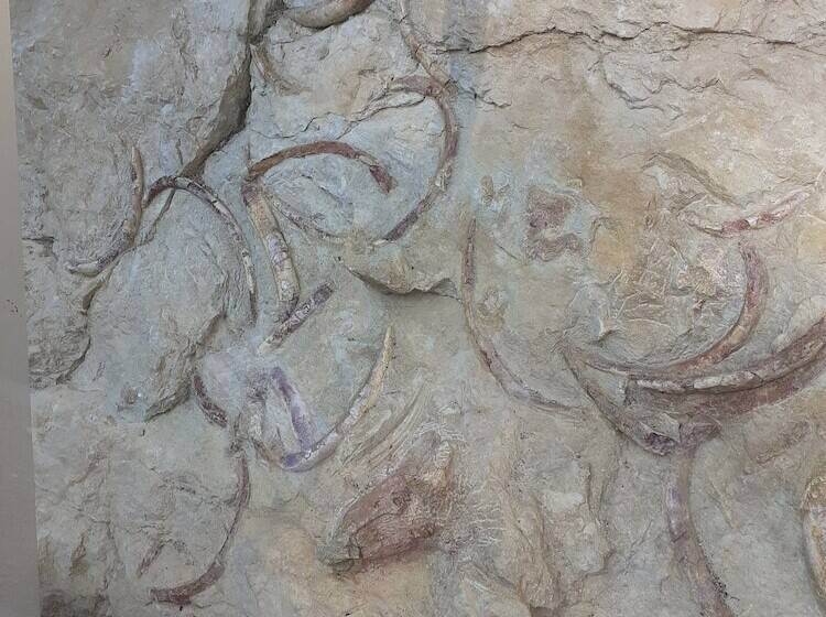 בית מלון כפרי Camping Les Lavandes, Castellane