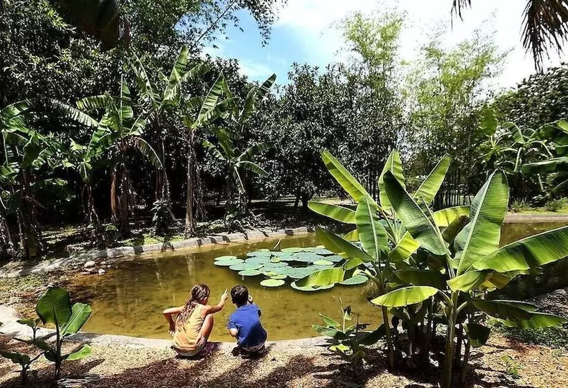 Rare Find! House Of Happiness By Mia Zoo & Fl Keys