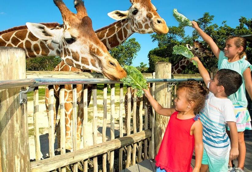 Rare Find! House Of Happiness By Mia Zoo & Fl Keys