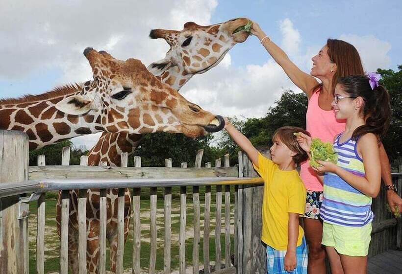 Rare Find! House Of Happiness By Mia Zoo & Fl Keys