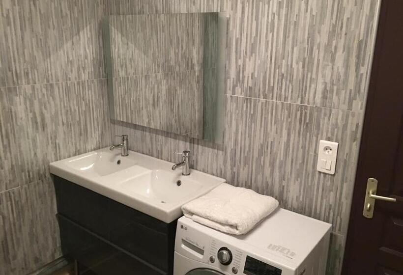 Apartment Villeurbanne