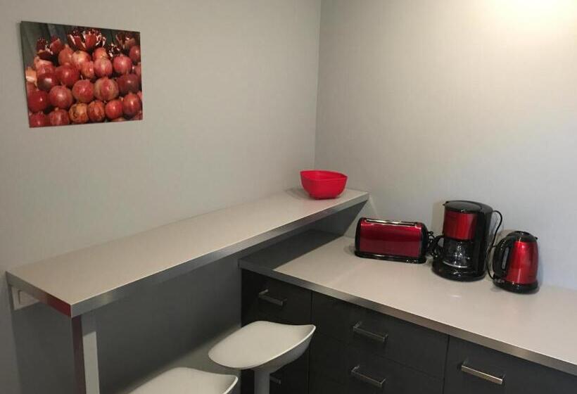 Apartment Villeurbanne