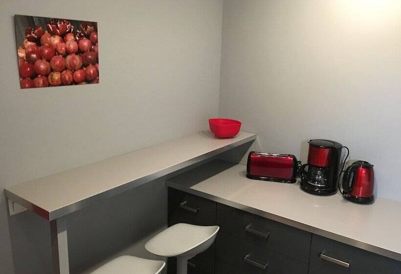 Apartment Villeurbanne