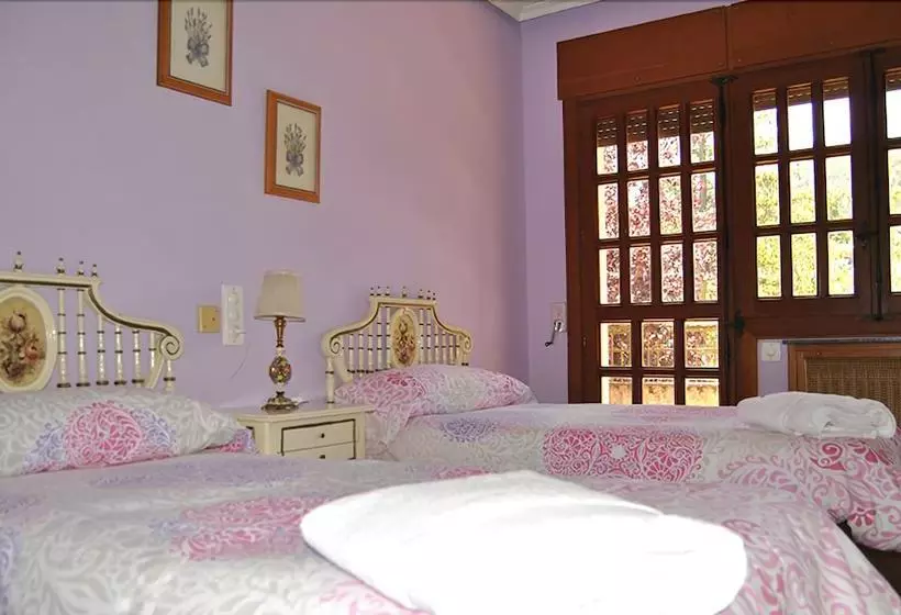 Casa El árbol Del Lilo