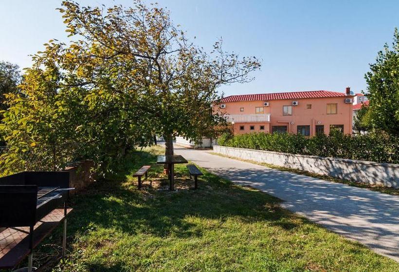 Apartman Goga
