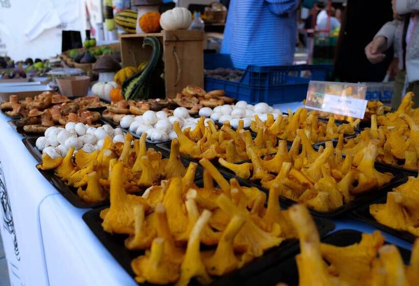 Luxury Apartment Stancesvic