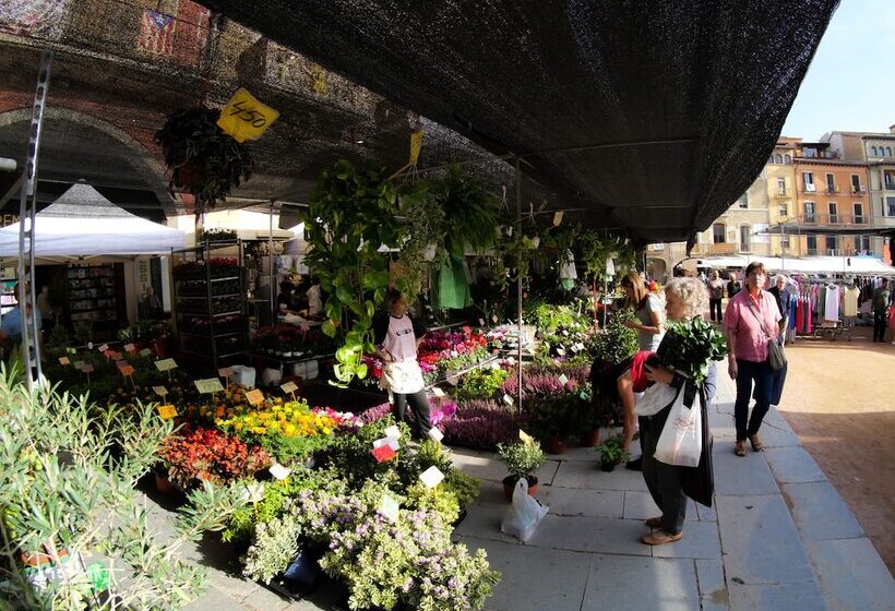 Luxury Apartment Stancesvic