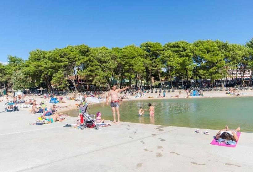 Apartments Little Spring