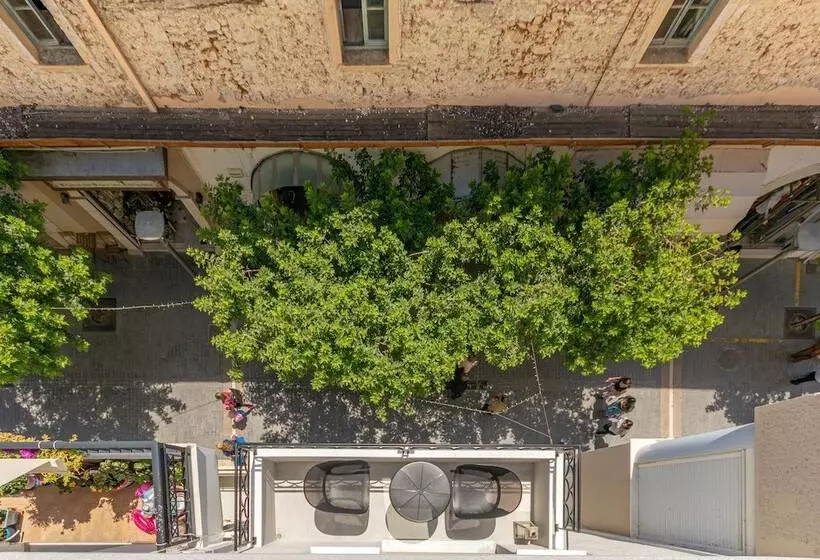 Chandakos 8 Design Apts