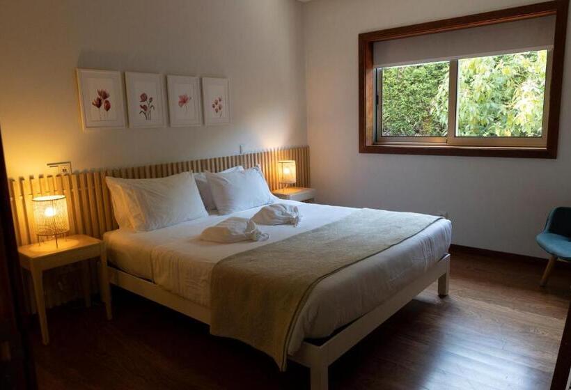 Countryside Villa Near Porto