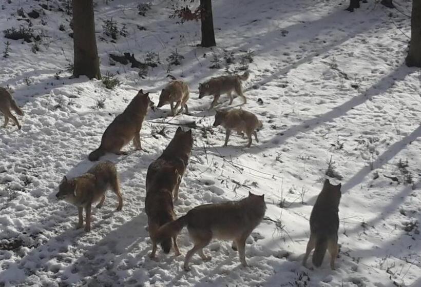 Wildnisresidenz Am Nationalpark