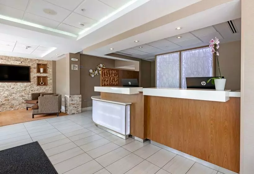 酒店 Best Western Plus North Miami Bal Harbour