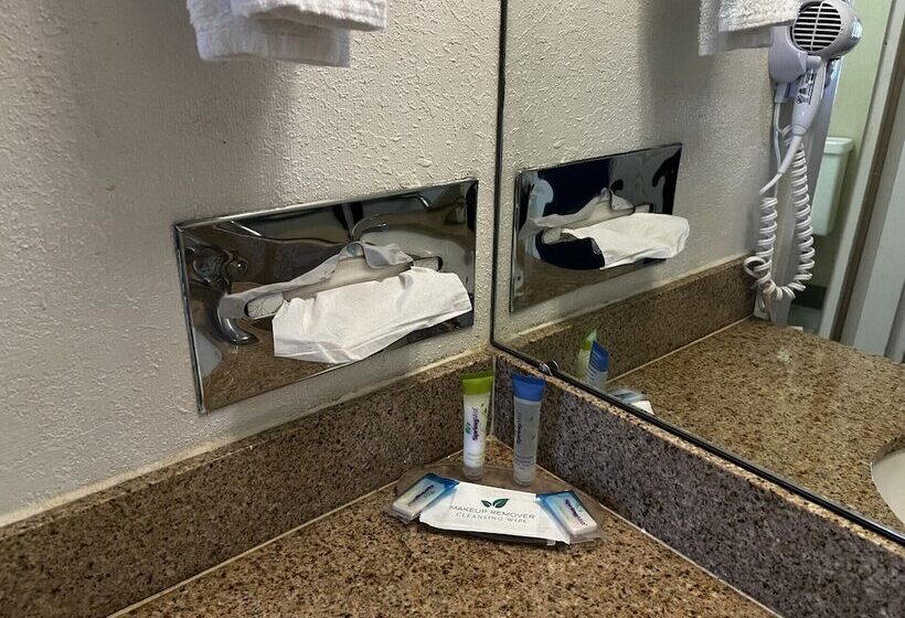 בית מלון כפרי Budget Inn