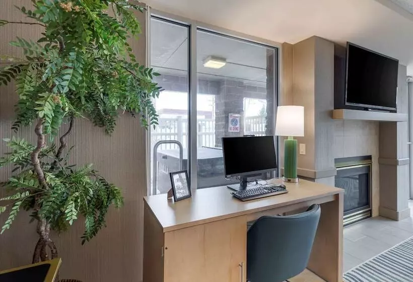 酒店 Comfort Inn & Suites Boulder