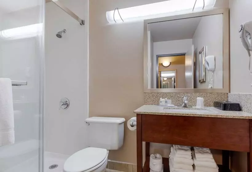 酒店 Comfort Inn & Suites Boulder