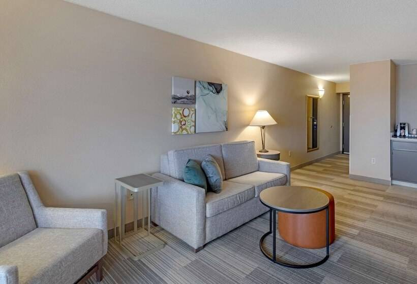 Otel Comfort Inn & Suites Boulder