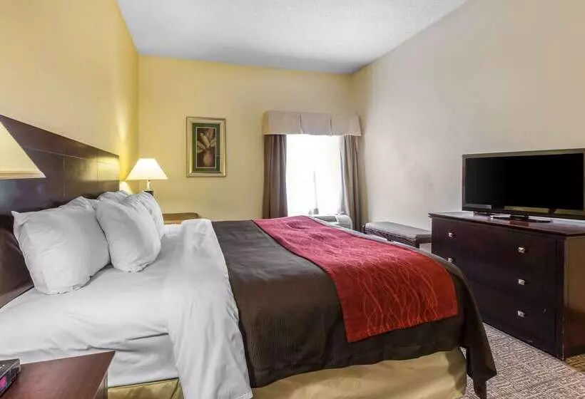 Отель Comfort Inn & Suites