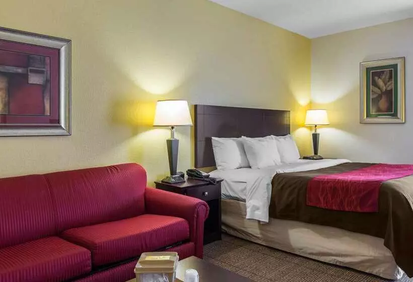 Отель Comfort Inn & Suites