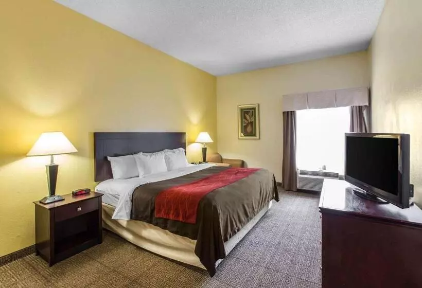Отель Comfort Inn & Suites