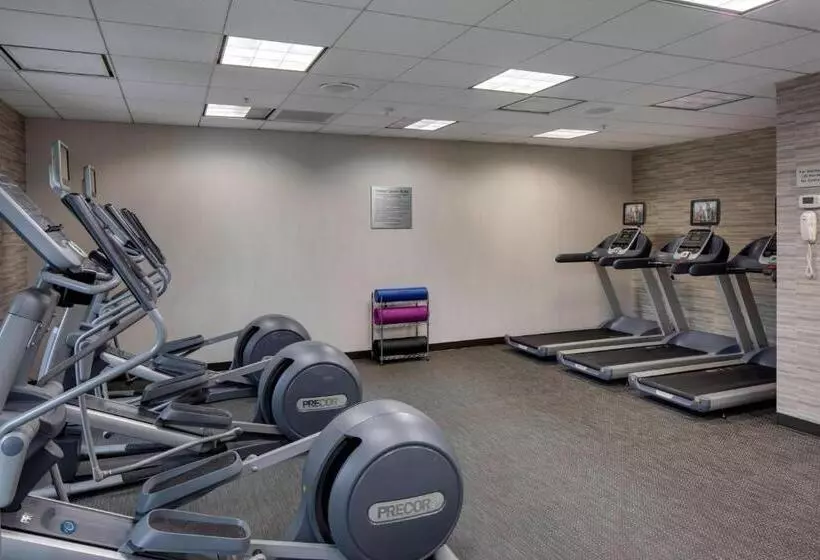 בית מלון כפרי Courtyard By Marriott Boston Logan Airport