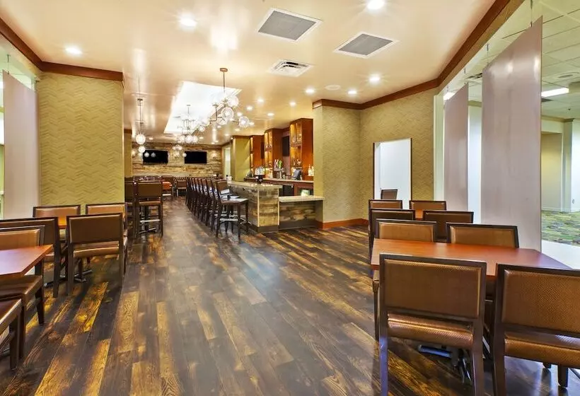 호텔 Holiday Inn & Suites Bolingbrook, An Ihg