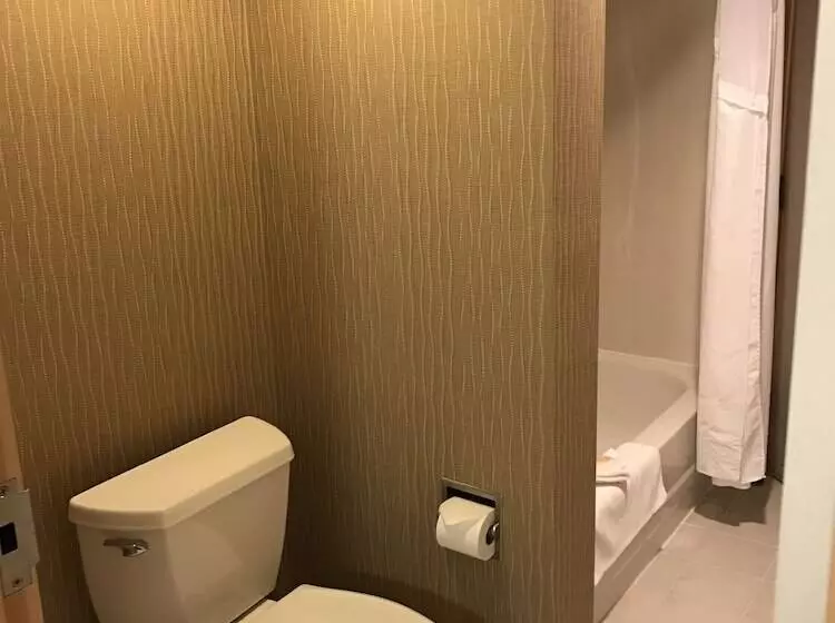 호텔 Holiday Inn & Suites Bolingbrook, An Ihg