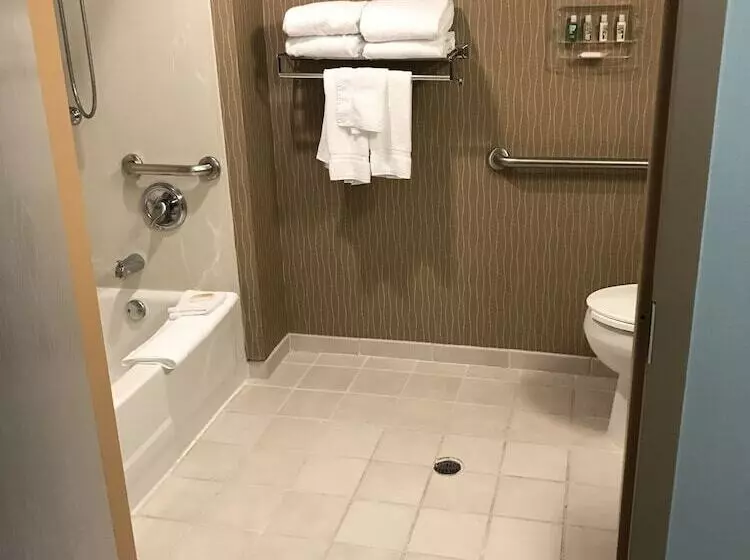 호텔 Holiday Inn & Suites Bolingbrook, An Ihg