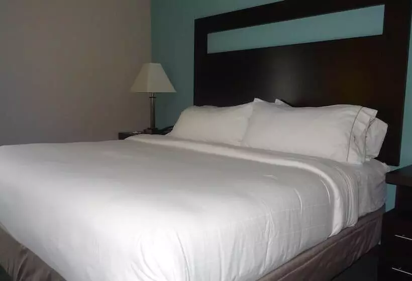 Holiday Inn Express Hotel Kansas City Bonner Springs, An Ihg