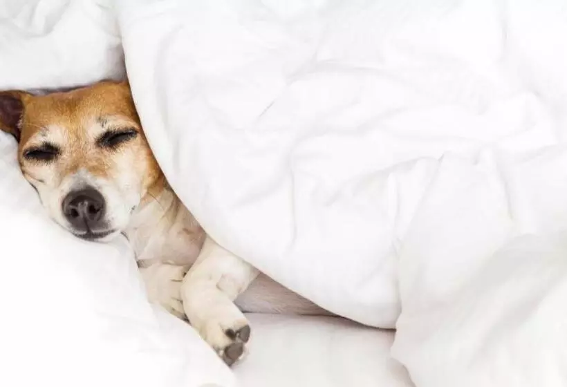 호텔 Inn Of Loudon