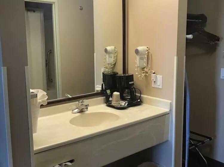 בית מלון כפרי Luxury Inn & Suites Troy