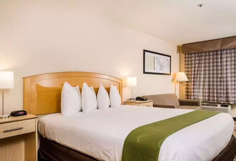 Отель Quality Inn & Suites Lathrop