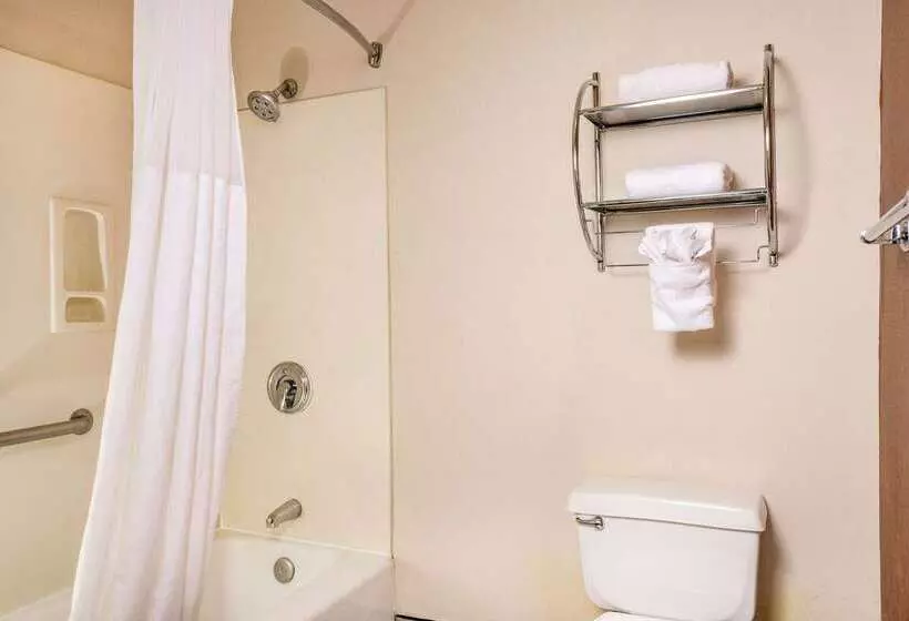Отель Quality Inn & Suites Lathrop