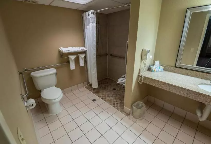 בית מלון כפרי Quality Inn & Suites Downtown Mansfield