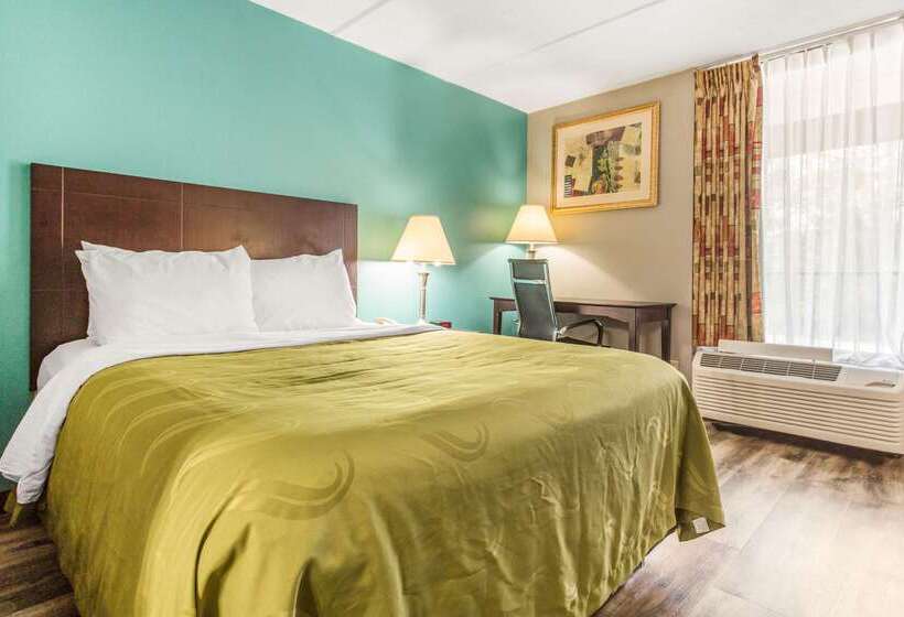 ホテル Quality Inn & Suites