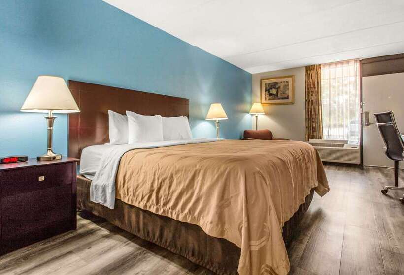 ホテル Quality Inn & Suites