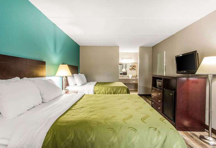 ホテル Quality Inn & Suites