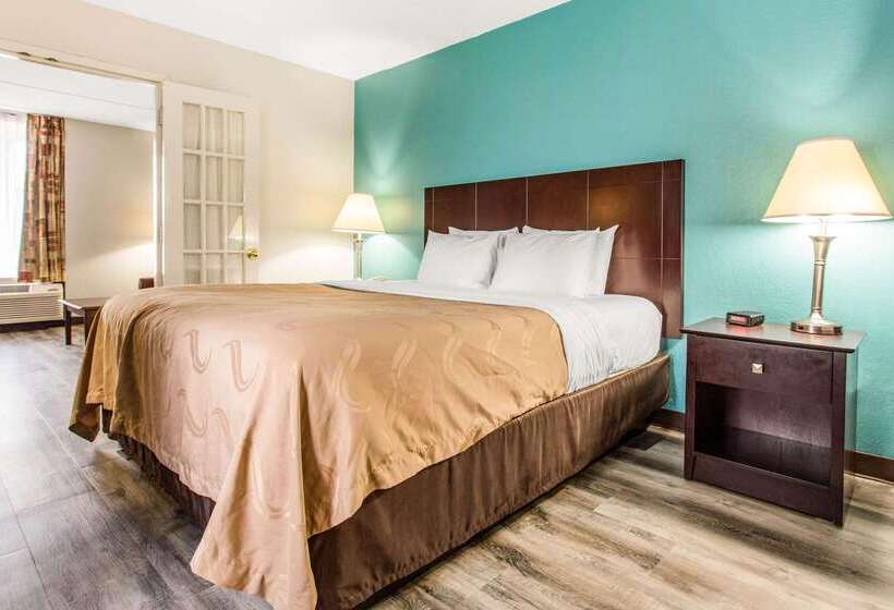 ホテル Quality Inn & Suites
