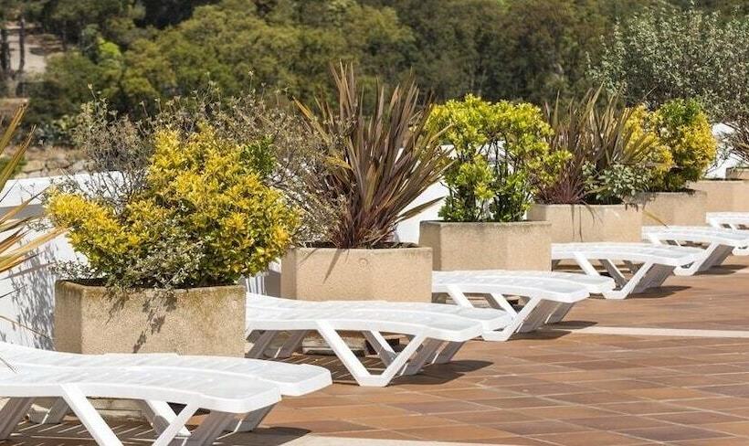 Apartamento Cerca De Water World Y Gnomo Park