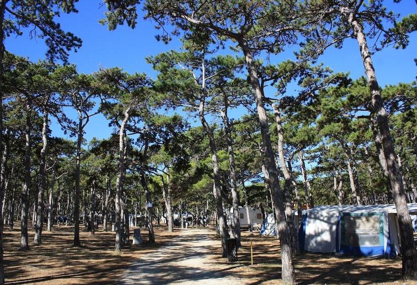 호텔 Kamp Planik Campsite